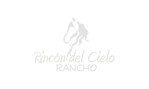 rincon_n