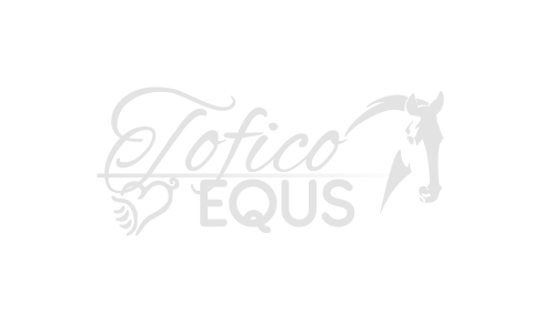 tofico_n